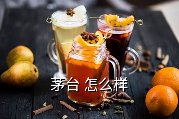 茅台 怎么样