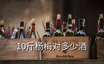 10斤杨梅对多少酒