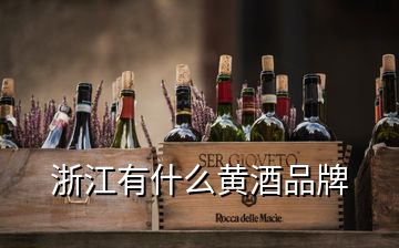 浙江有什么黄酒品牌