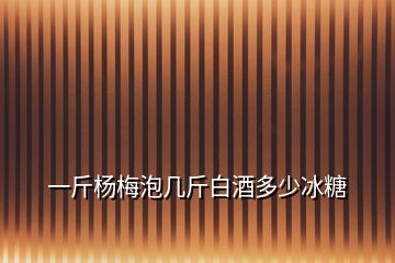 一斤杨梅泡几斤白酒多少冰糖