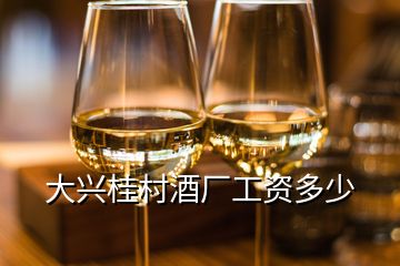 大兴桂村酒厂工资多少