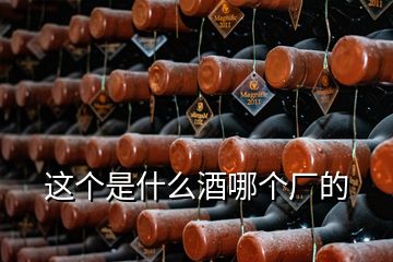 这个是什么酒哪个厂的