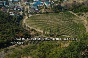 中国洋河酒厂出过这种酒吗2瓶装的42度网上查不到是真的吗百度知