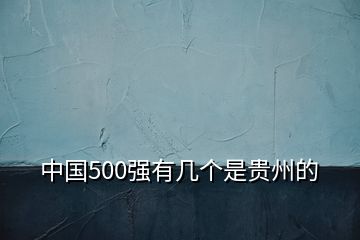 中国500强有几个是贵州的