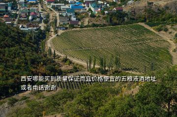 西安哪能买到质量保证而且价格便宜的五粮液酒地址或者电话谢谢