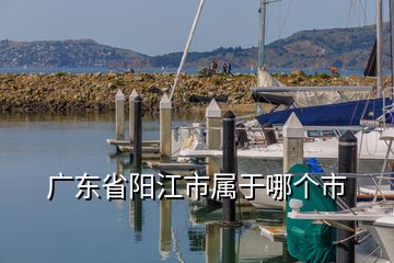 广东省阳江市属于哪个市