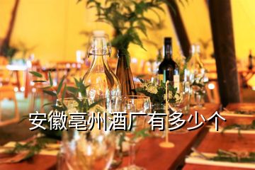 安徽亳州酒厂有多少个