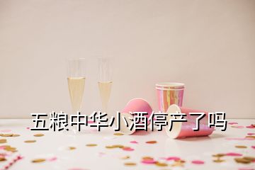 五粮中华小酒停产了吗