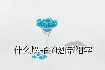 什么牌子的酒带阳字