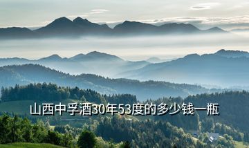 山西中孚酒30年53度的多少钱一瓶