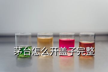 茅台怎么开盖子完整