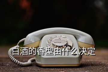 白酒的香型由什么决定