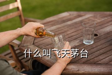 什么叫飞天茅台