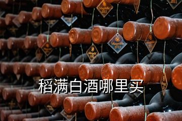 稻满白酒哪里买