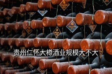 贵州仁怀大樽酒业规模大不大