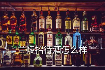 兰陵招待酒怎么样