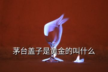 茅台盖子是黄金的叫什么