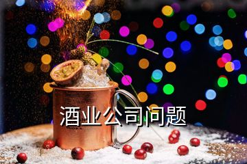 酒业公司问题