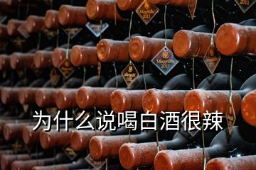 为什么说喝白酒很辣