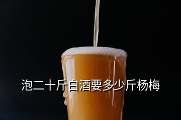 泡二十斤白酒要多少斤杨梅