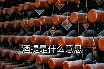 酒提是什么意思