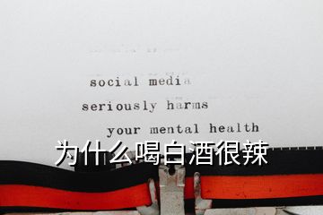 为什么喝白酒很辣