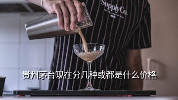 贵州茅台现在分几种或都是什么价格