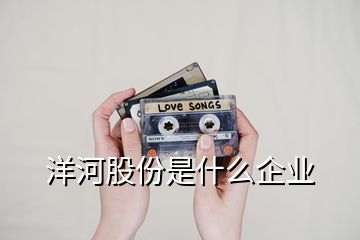 洋河股份是什么企业