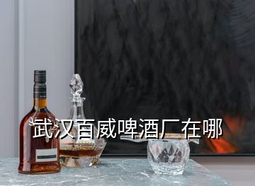 武汉百威啤酒厂在哪