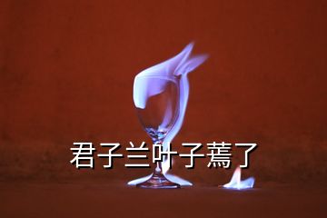 君子兰叶子蔫了