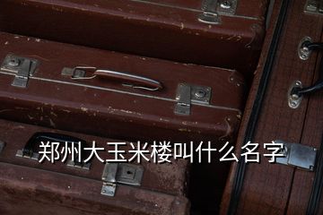 郑州大玉米楼叫什么名字