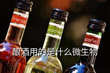 酿酒用的是什么微生物