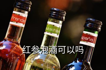 红参泡酒可以吗