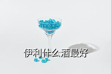 伊利什么酒最好