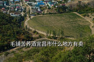 毛铺苦荞酒宜昌市什么地方有卖