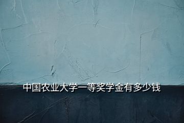 中国农业大学一等奖学金有多少钱