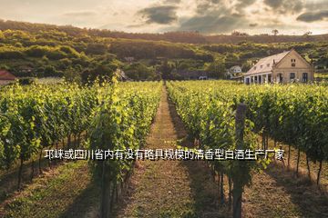 邛崃或四川省内有没有略具规模的清香型白酒生产厂家