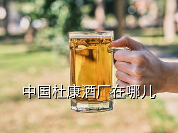 中国杜康酒厂在哪儿