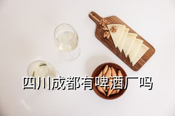 四川成都有啤酒厂吗