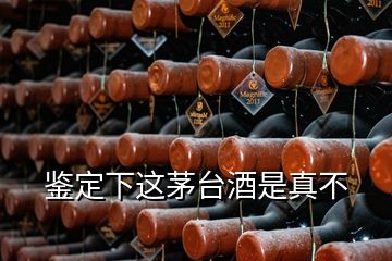 鉴定下这茅台酒是真不