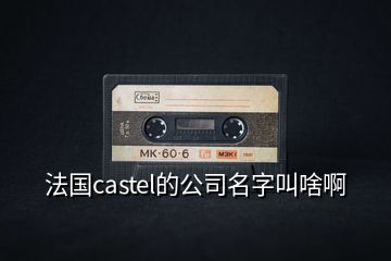 法国castel的公司名字叫啥啊