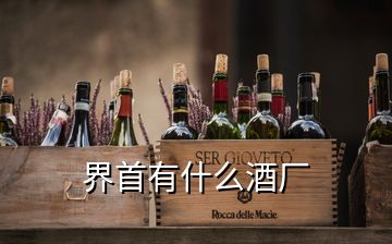 界首有什么酒厂