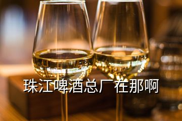 珠江啤酒总厂在那啊