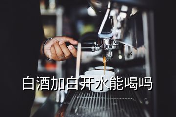 白酒加白开水能喝吗