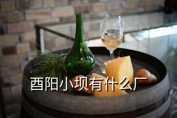 酉阳小坝有什么厂