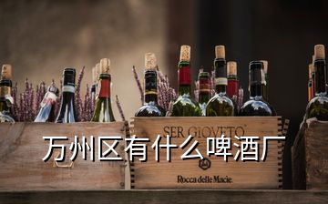 万州区有什么啤酒厂