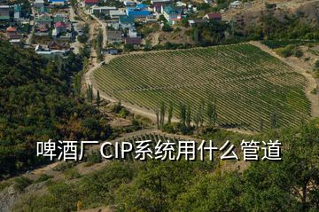 啤酒厂CIP系统用什么管道