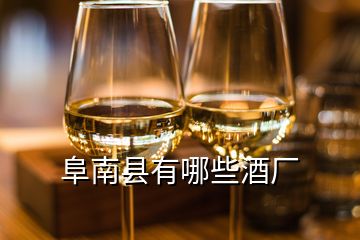 阜南县有哪些酒厂