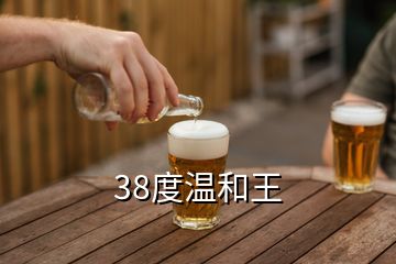 38度温和王