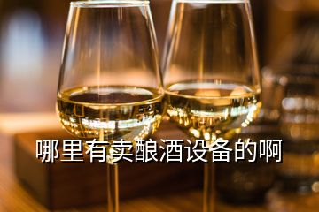 哪里有卖酿酒设备的啊